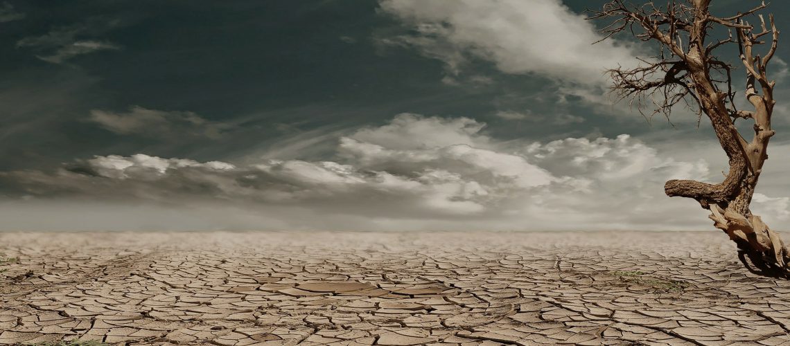 desert-279862_1920